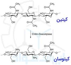 نانو ذرات کیتوزان 50 نانومتر (نانو کیتوسان)